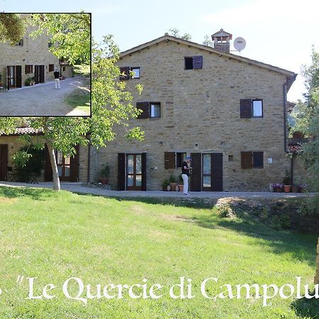 Bed and Breakfast Le Querce Di Campolungo San Giustino Экстерьер фото